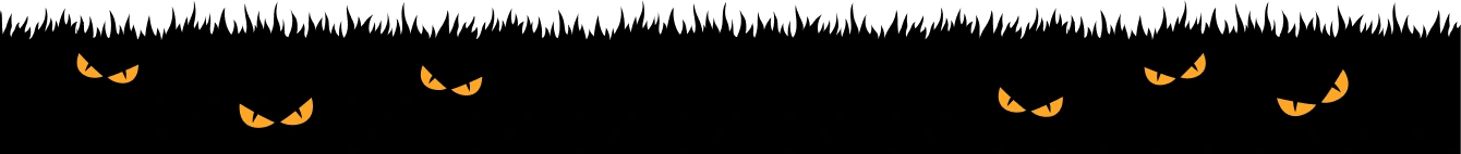 Bottom Banner